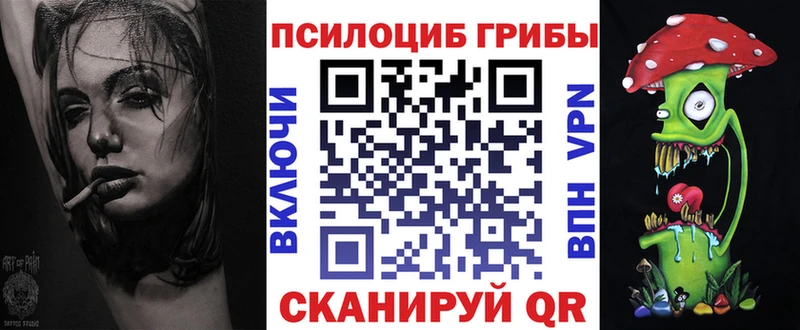 Псилоцибиновые грибы прущие грибы  ссылка на мегу ТОР  Малгобек  как найти закладки 